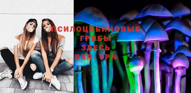 Псилоцибиновые грибы Magic Shrooms  Выборг 